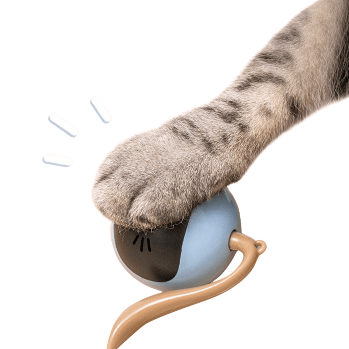 Slim kattenspeeltje