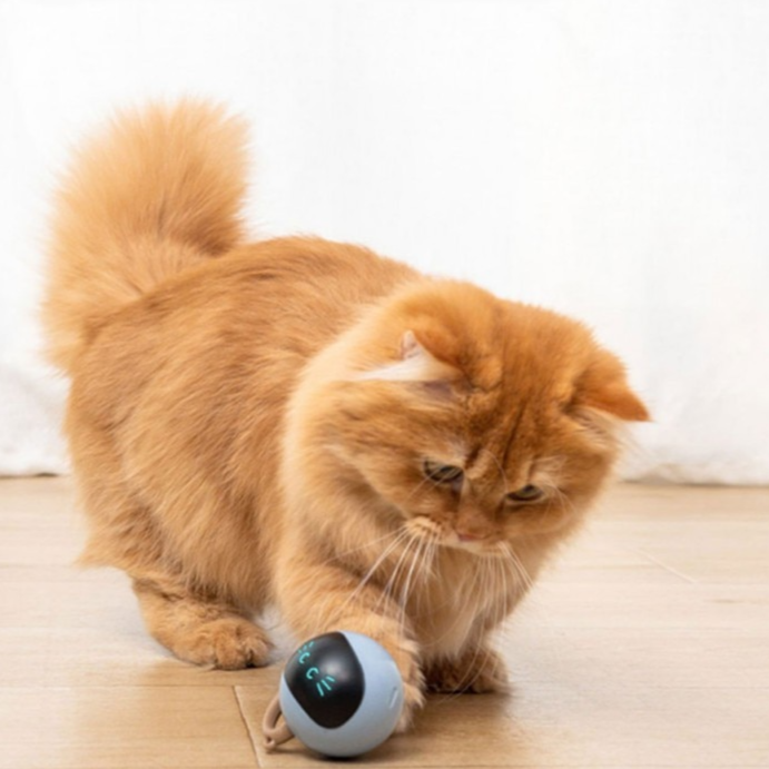 Slim kattenspeeltje