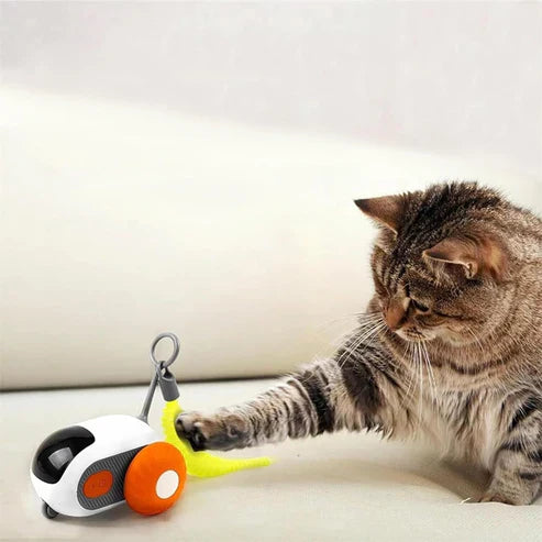 Interactief kattenspeelgoed met afstandsbediening