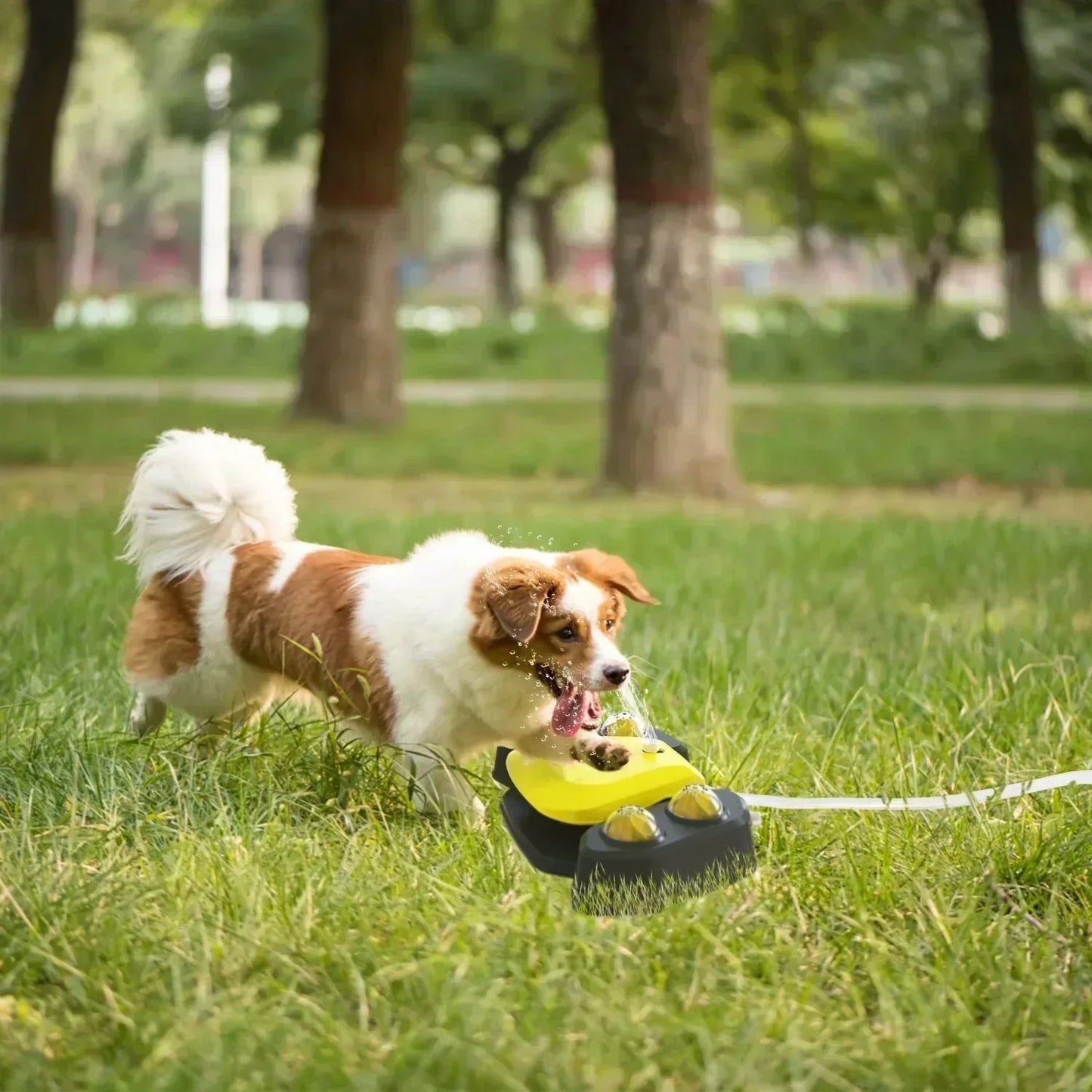 Automatische buitenwaterfontein voor honden