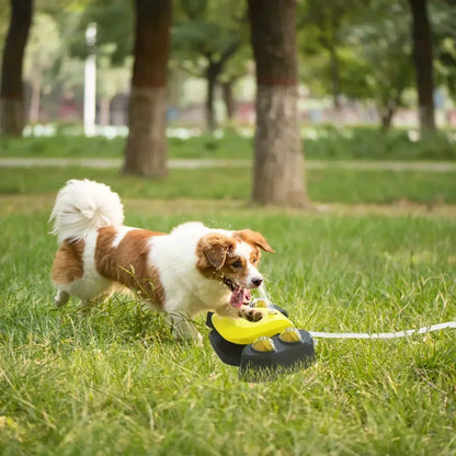 Automatische buitenwaterfontein voor honden